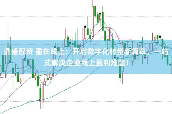 鼎盛配资 盈在线上：开启数字化转型新篇章，一站式解决企业线上盈利难题！