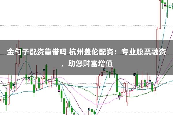 金勺子配资靠谱吗 杭州盖伦配资：专业股票融资，助您财富增值