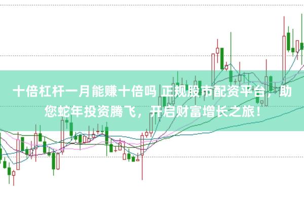 十倍杠杆一月能赚十倍吗 正规股市配资平台，助您蛇年投资腾飞，开启财富增长之旅！