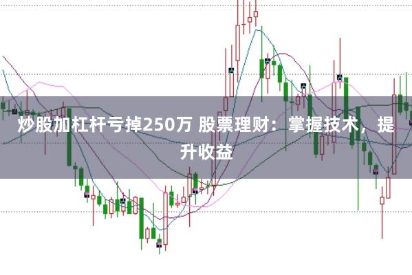 炒股加杠杆亏掉250万 股票理财：掌握技术，提升收益