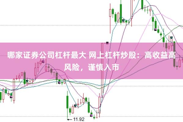 哪家证券公司杠杆最大 网上杠杆炒股：高收益高风险，谨慎入市