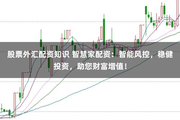 股票外汇配资知识 智慧家配资：智能风控，稳健投资，助您财富增值！