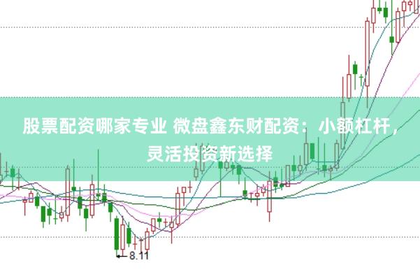 股票配资哪家专业 微盘鑫东财配资：小额杠杆，灵活投资新选择