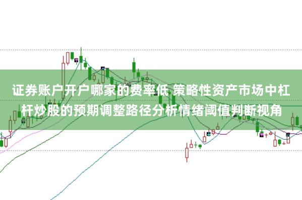 证券账户开户哪家的费率低 策略性资产市场中杠杆炒股的预期调整路径分析情绪阈值判断视角