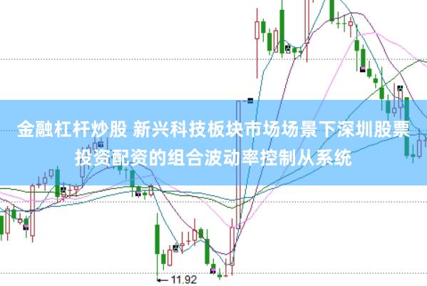 金融杠杆炒股 新兴科技板块市场场景下深圳股票投资配资的组合波动率控制从系统