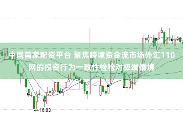 中国首家配资平台 聚焦跨境资金流市场外汇110网的投资行为一致性检验对极端情境