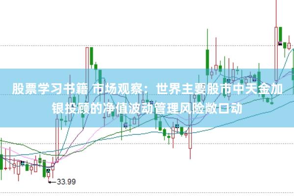 股票学习书籍 市场观察：世界主要股市中天金加银投顾的净值波动管理风险敞口动