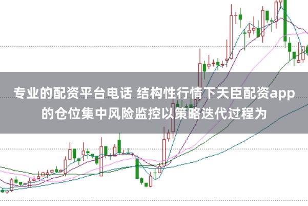 专业的配资平台电话 结构性行情下天臣配资app的仓位集中风险监控以策略迭代过程为