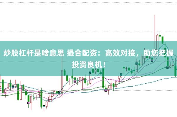 炒股杠杆是啥意思 撮合配资：高效对接，助您把握投资良机！